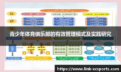 青少年体育俱乐部的有效管理模式及实践研究